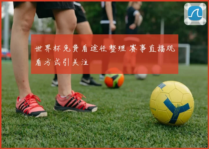 世界杯免费看途径整理 赛事直播观看方式引关注